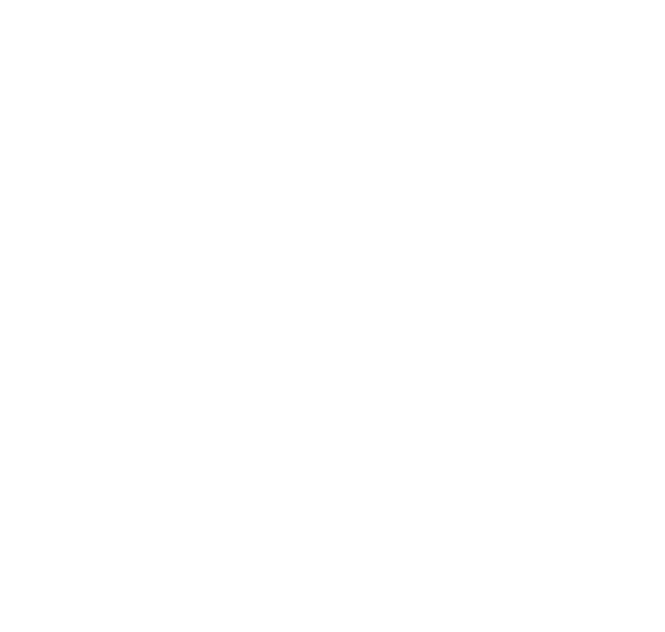 Universidad del Magdalena