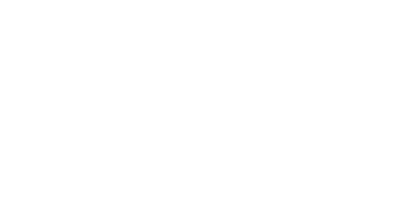 VIP Logística