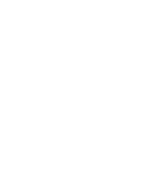 We Cam Fest